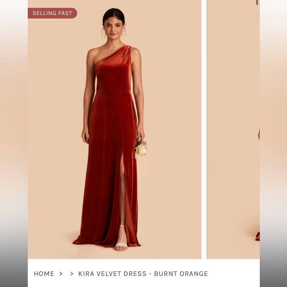 Birdy Grey Kira Dress - velvet burnt orange size XS